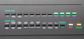 DM100_07.jpg