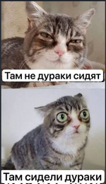 1790870420581.png