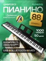 3.webp