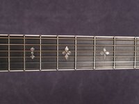 C779LX-CCB_fretboard.jpg