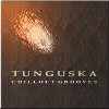 Tunguska4-250.jpg