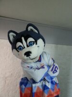 20160509_190418.jpg