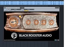 Black Rooster Audio.jpg