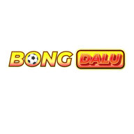 bongdaluspace
