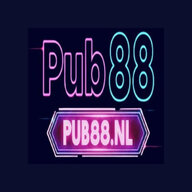 pub88nl
